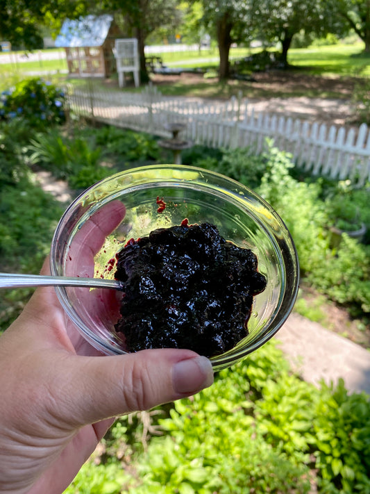 Blueberry Jam - Low Sugar Half Pint Jar
