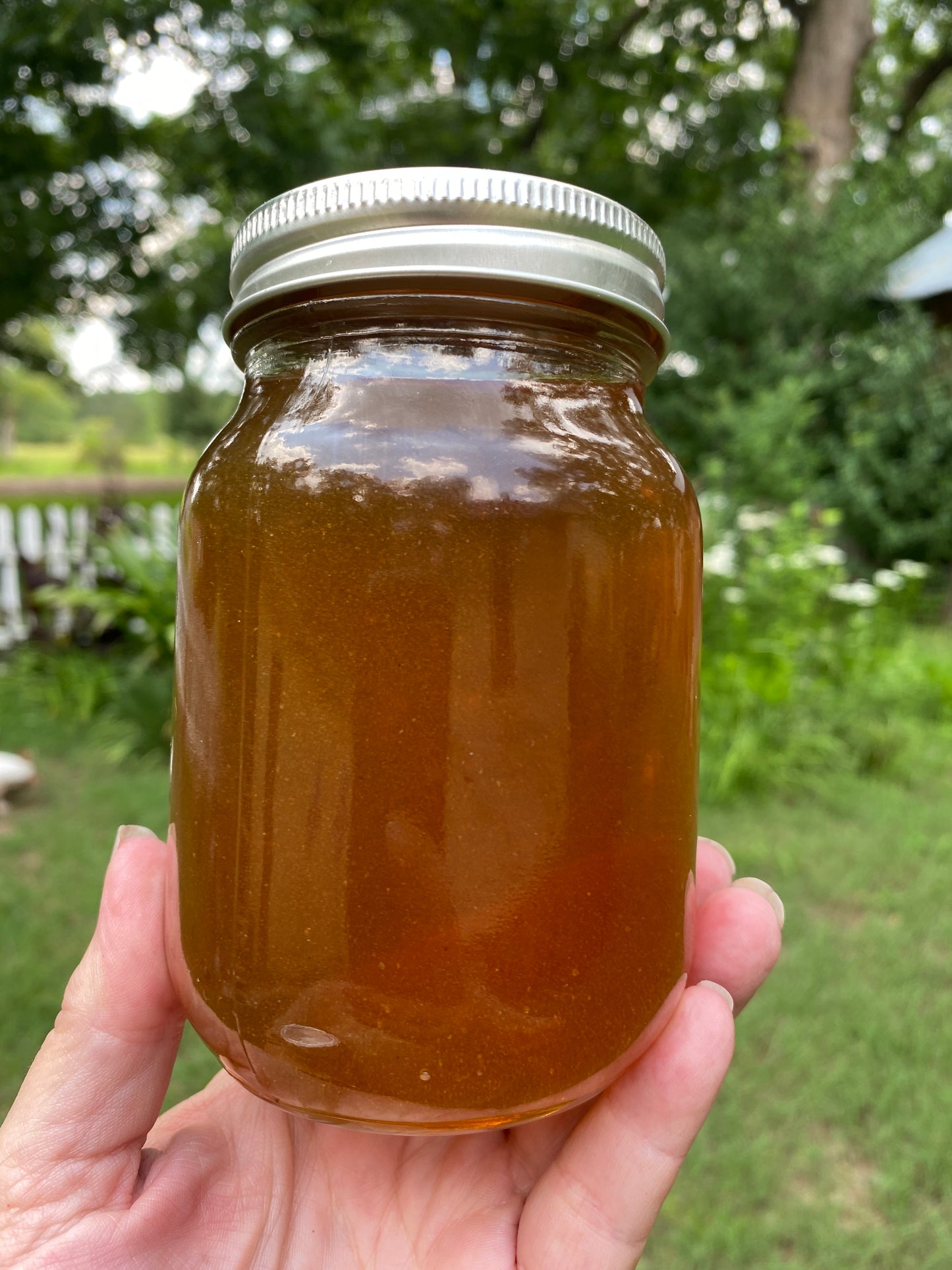 Honey from Smoot's Farm Beehives 22oz