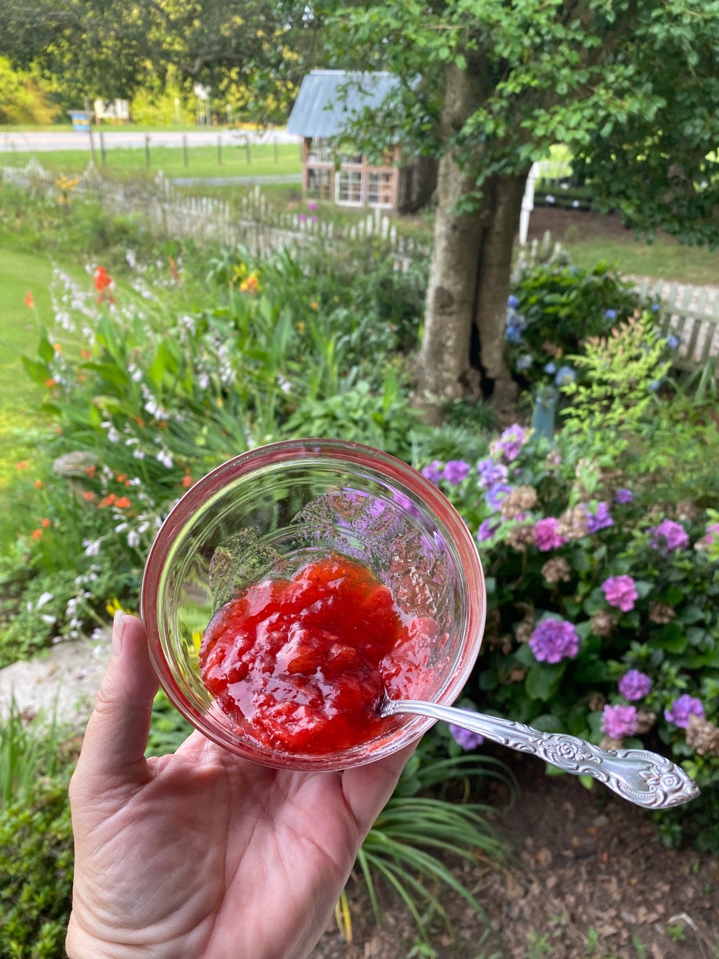 Strawberry Jam - Low Sugar Pint Jar