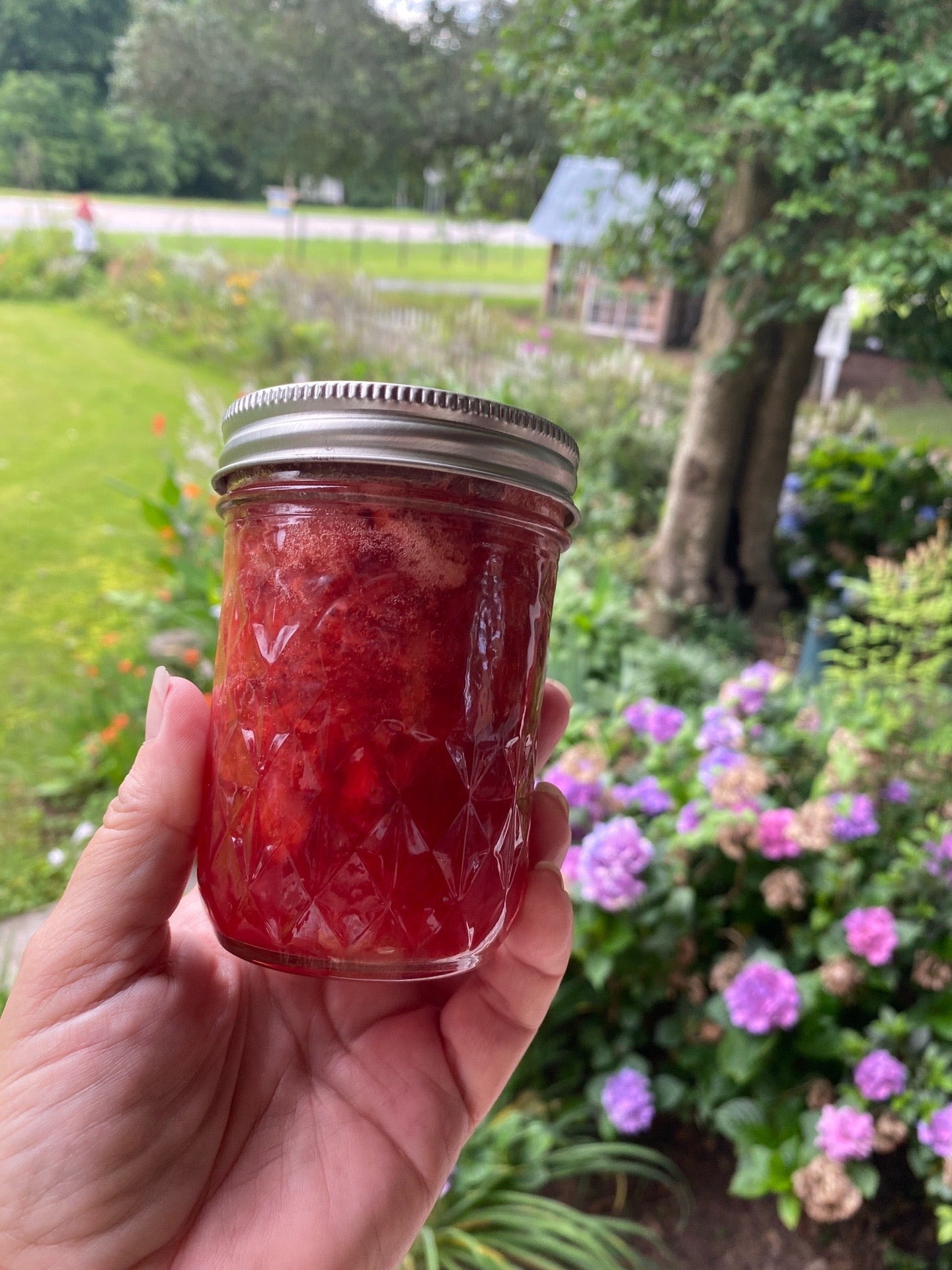 Strawberry Jam - Low Sugar Pint Jar