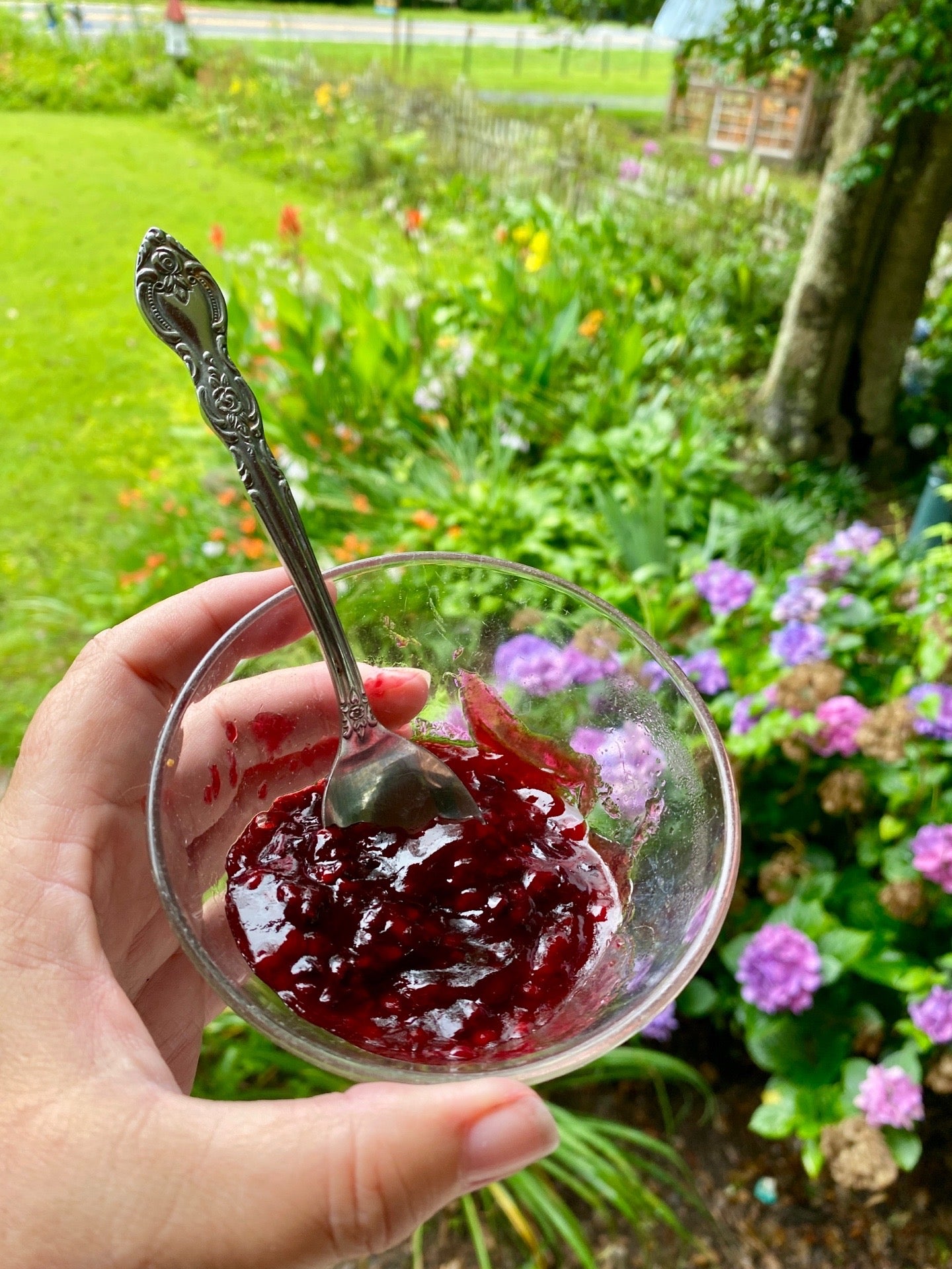Plum Jam - Low Sugar Half Pint Jar