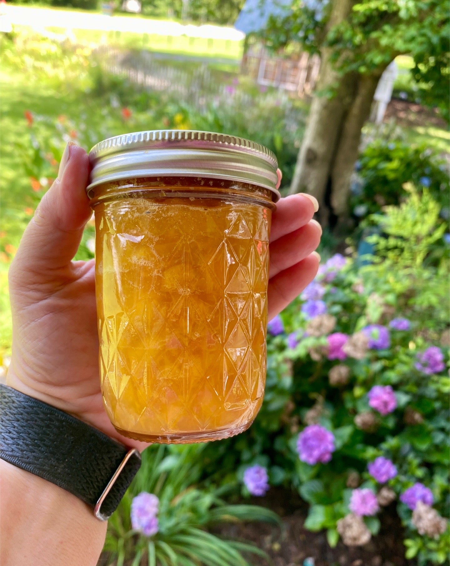 Peach Jam - Low Sugar Half Pint Jar