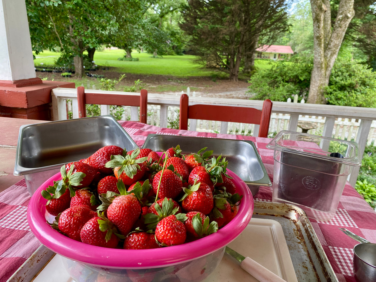 Strawberry Jam - Low Sugar Half Pint Jar