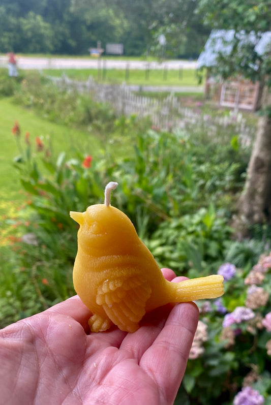 Sparrow -Hand Poured Natural Beeswax Scent Candles
