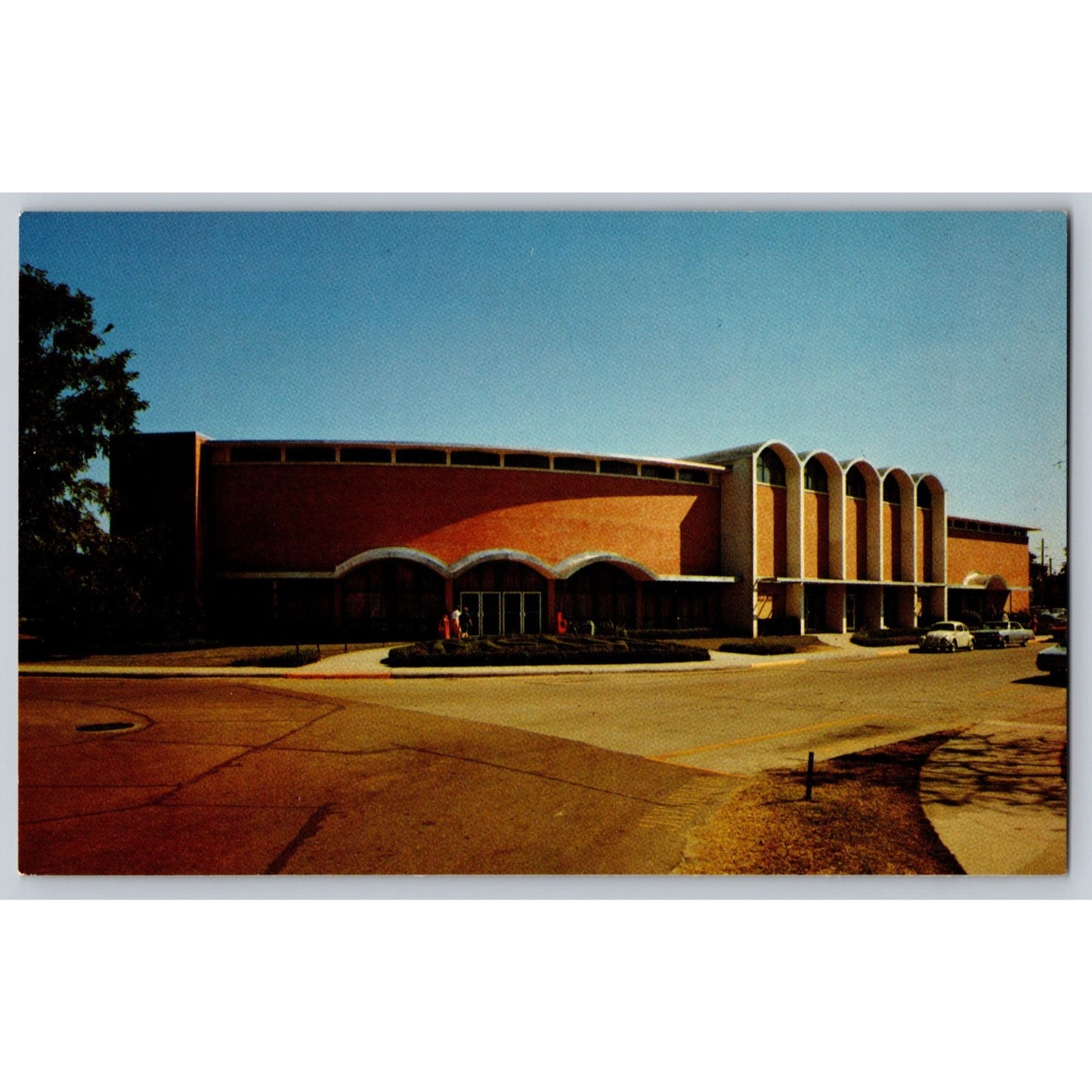 Columbus MS Mississippi State College for Women Hogarth Student Chrome Postcard Unused