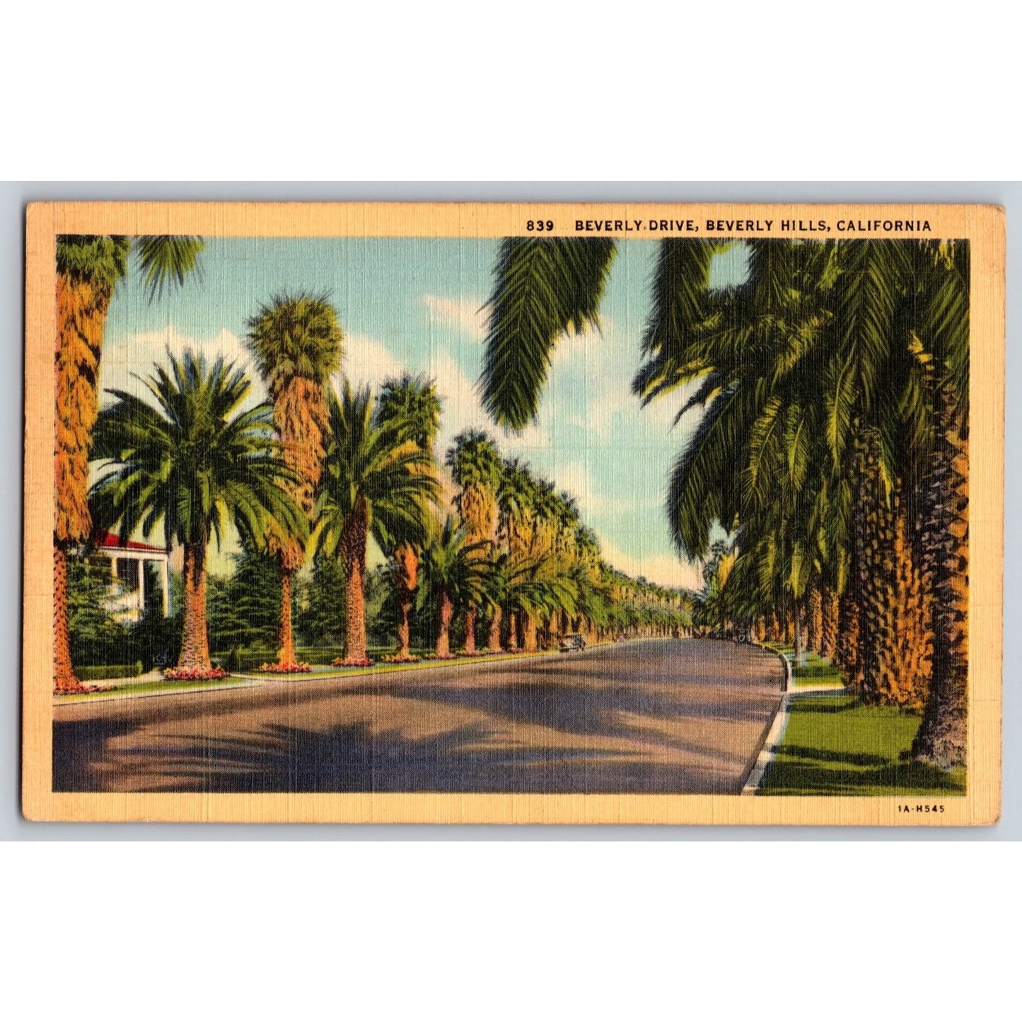 Beverly Hills CA California Beverly Drive Palm Trees 1943 Linen Postcard Used