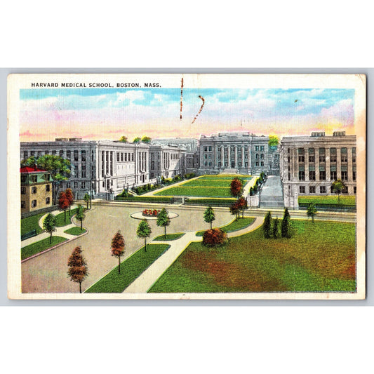 Boston MA Massachusetts Harvard Medical School White Border 1936 Postcard Used