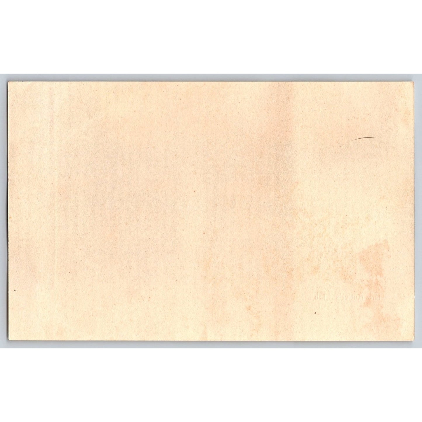 Amsterdam NY New York The Autler's Club Undivided Back Postcard Seely Conover