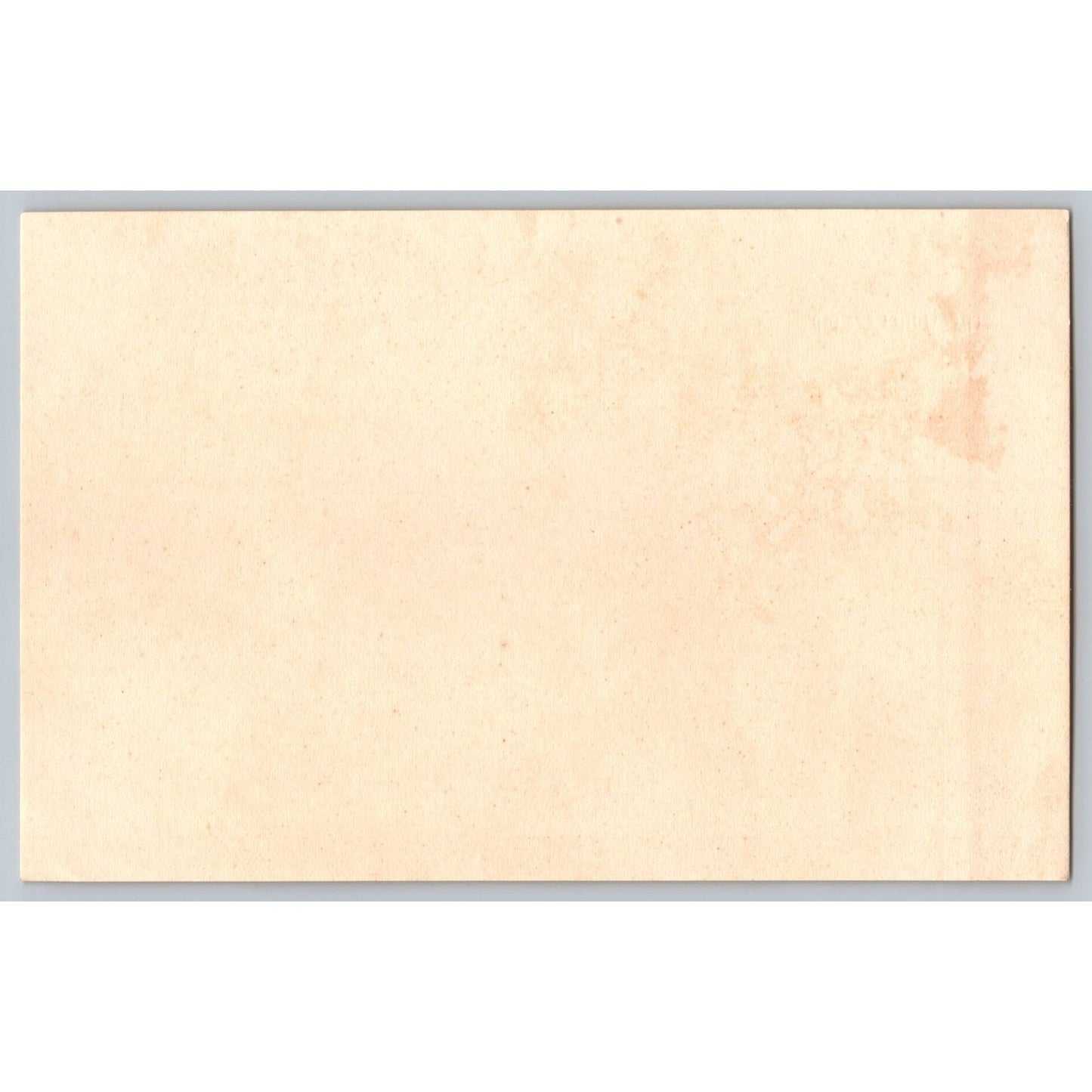 Amsterdam NY New York The Autler's Club Undivided Back Postcard Seely Conover