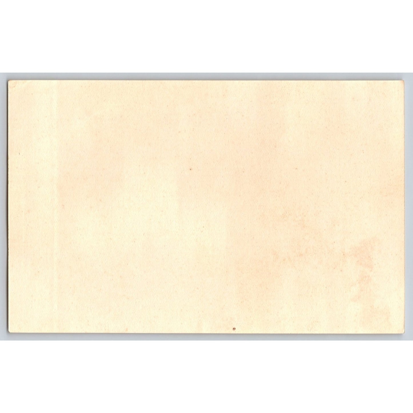 Amsterdam NY New York The Autler's Club Undivided Back Postcard Seely Conover