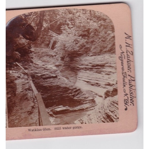 Watkins Glen NY Still Water Gorge Stereoview Griffin & Griffith Co Early 1900s