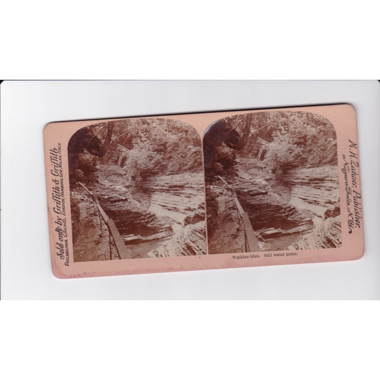 Watkins Glen NY Still Water Gorge Stereoview Griffin & Griffith Co Early 1900s
