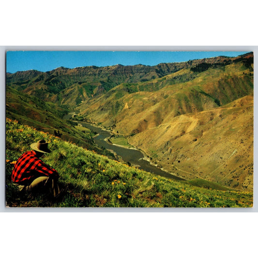 OR Oregon ID Idaho Hell's Canyon Snake River Chrome Postcard Unused Jack Eng