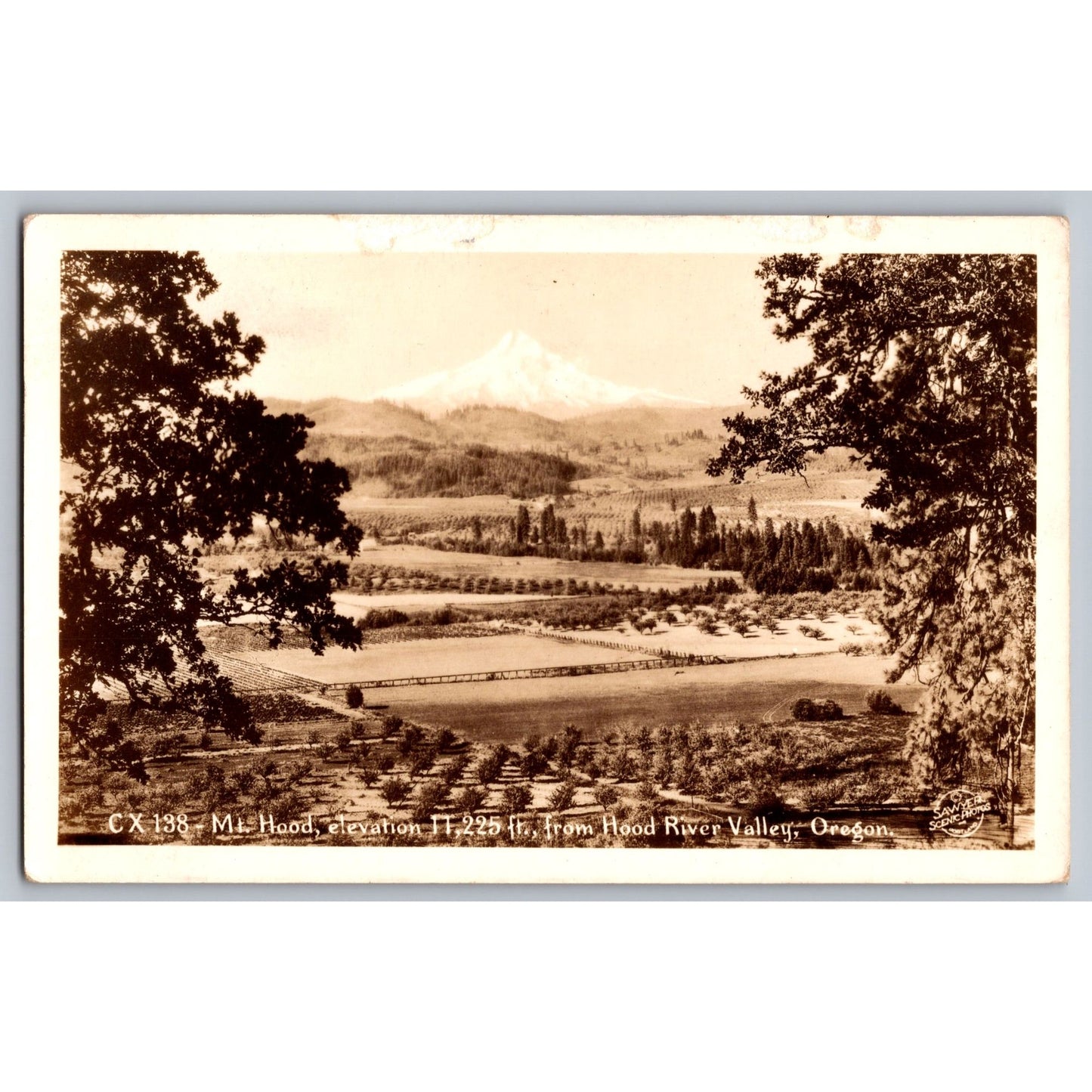 RPPC Mt Hood from Ft Hood River Valley OR Oregon Real Photo Postcard Unused