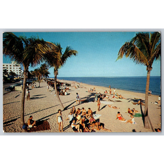 Postcard FL Florida Ft. Lauderdale Florida Beach Chrome Unused Robert Wasman