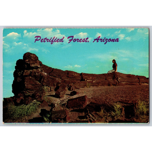 Petrified Forest National Park AZ Arizona Old Faithful Log 1976 Chrome Postcard