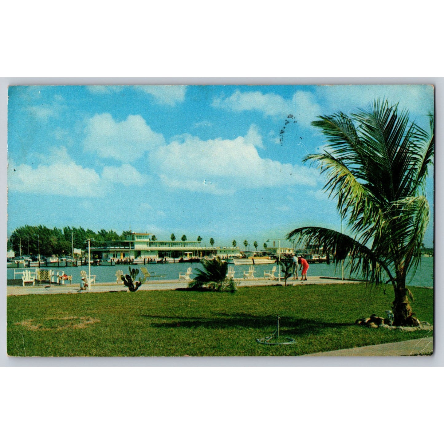 Clearwater Beach FL Florida Waterfront View & Palm Trees 1954 Chrome Postcard