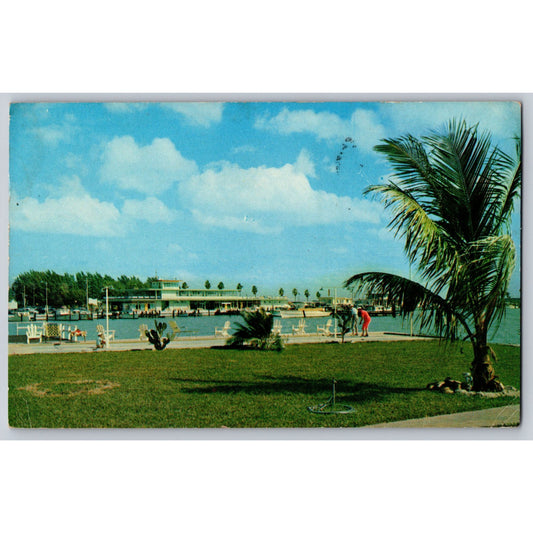 Clearwater Beach FL Florida Waterfront View & Palm Trees 1954 Chrome Postcard
