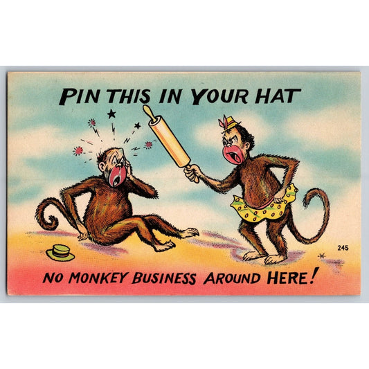 Comic Postcard Humorous No Monkey Business Pin This In Your Hat Unused