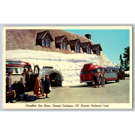 Ashford WA Washington Paradise Inn Snow Tunnel Mt Rainier National Park Postcard
