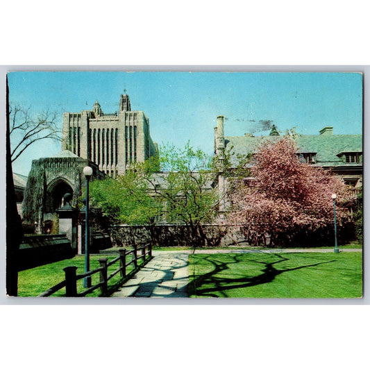 New Haven CT Connecticut Yale University Sterling Memorial Library 1955 Postcard