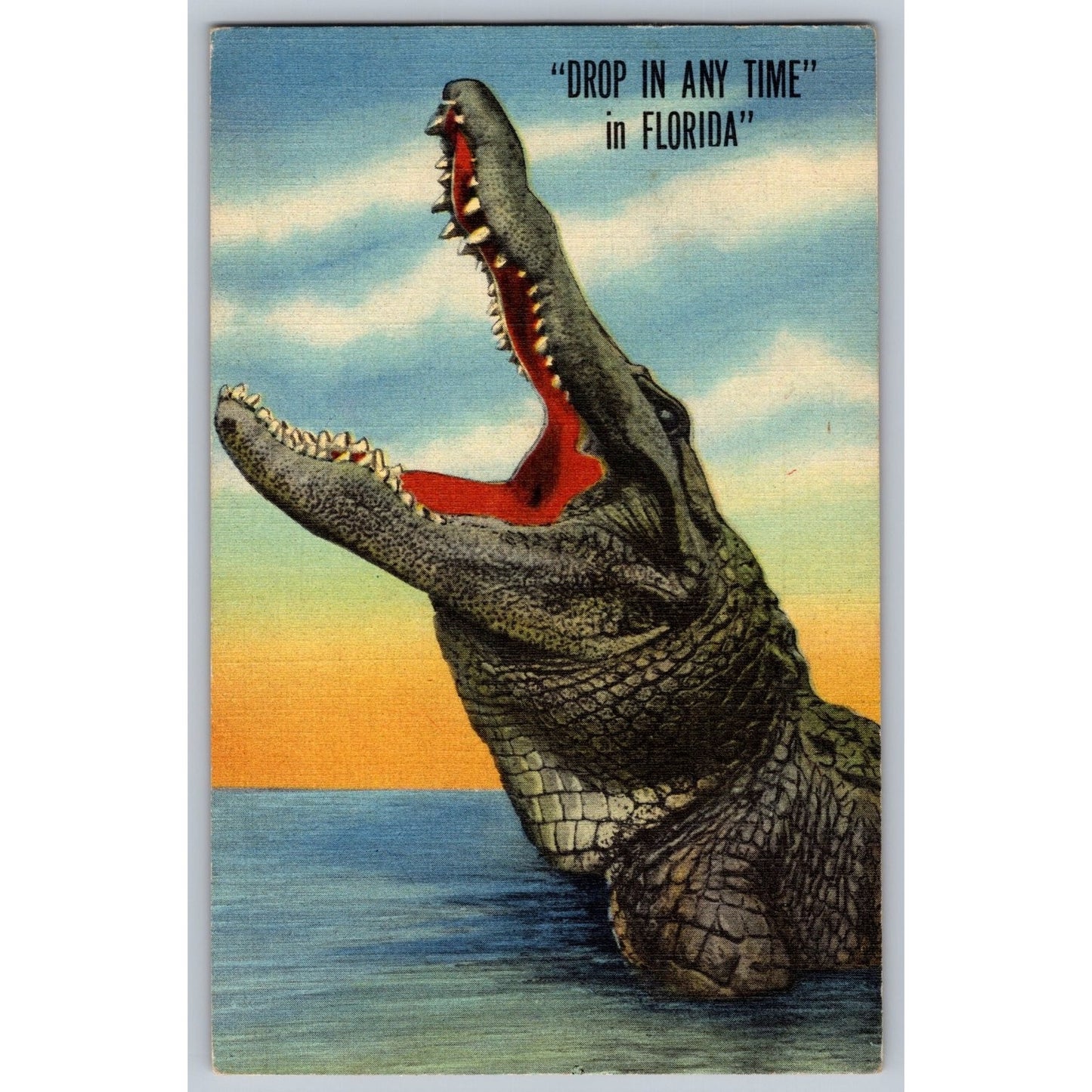 Comic Postcard Humorous Florida Alligator Drop In Any Time Linen Used