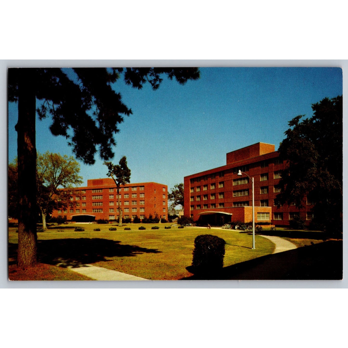 Columbus MS Mississippi State College For Women Taylor Hall Kiern Hall Postcard