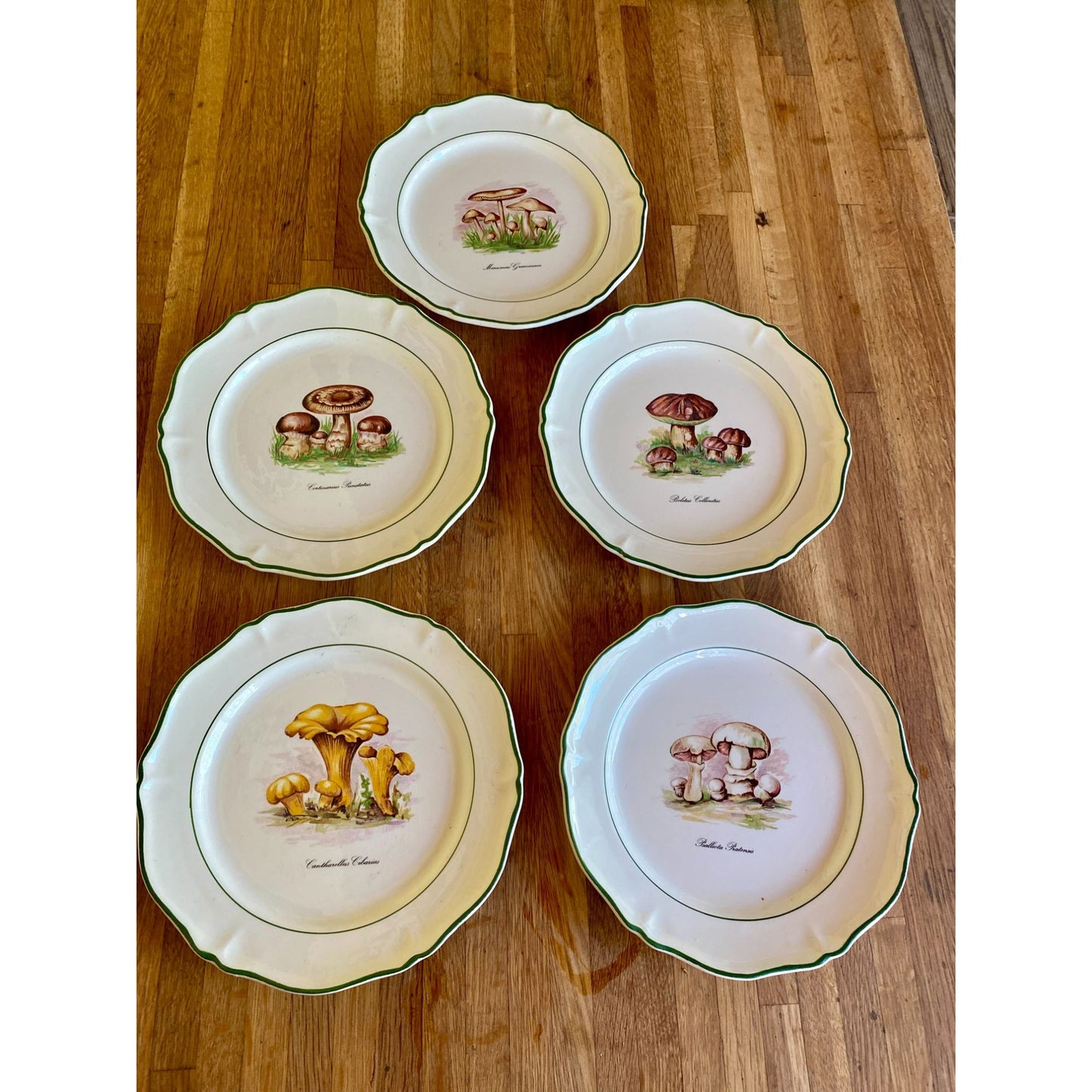 Mushroom-Themed Ceramic Plates With Scalloped Edges & Green Trim Faiencerie de Saint Amand France Set of 5