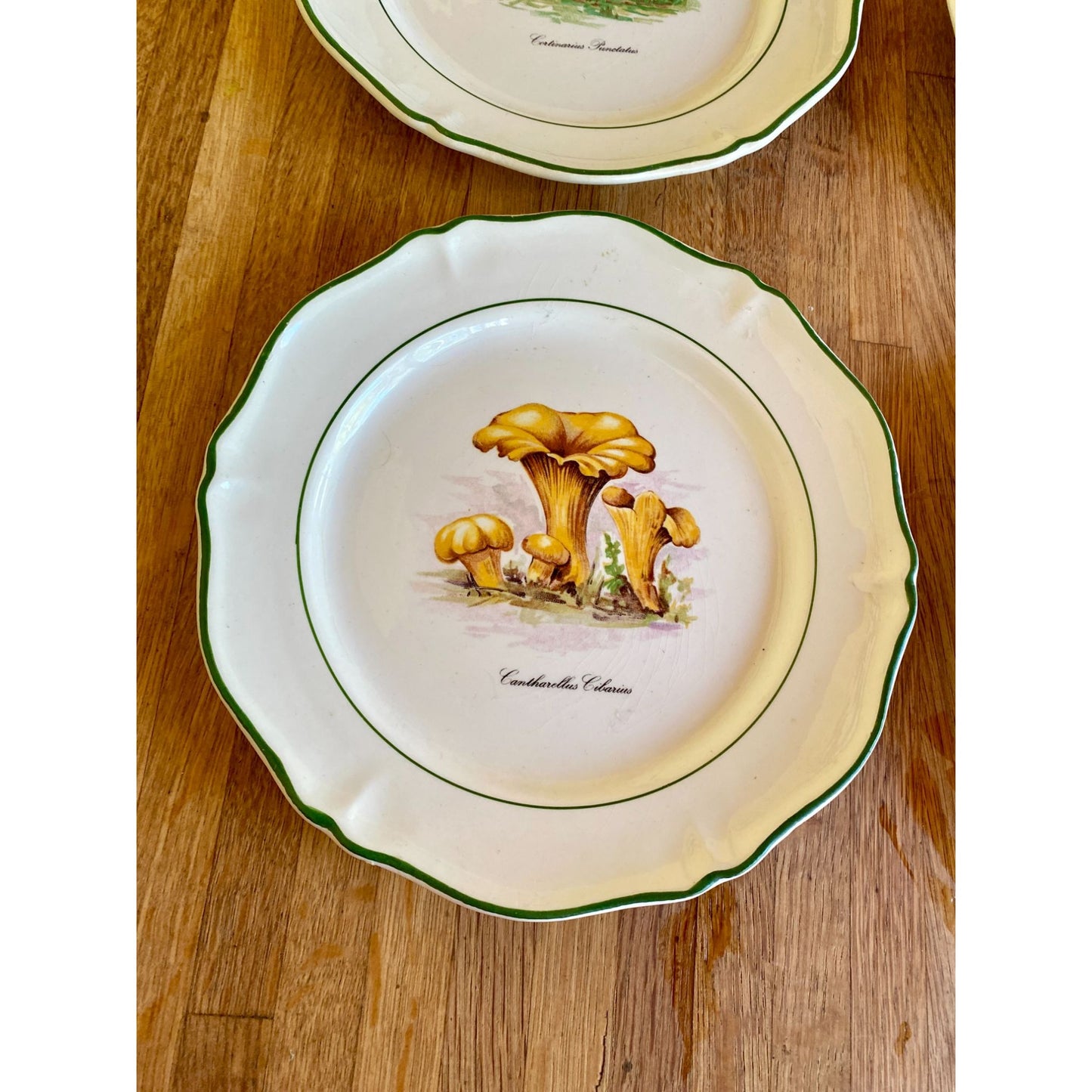 Mushroom-Themed Ceramic Plates With Scalloped Edges & Green Trim Faiencerie de Saint Amand France Set of 5