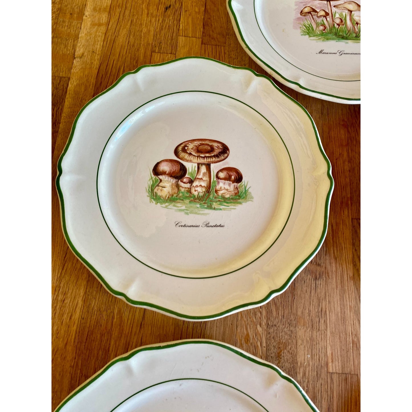 Mushroom-Themed Ceramic Plates With Scalloped Edges & Green Trim Faiencerie de Saint Amand France Set of 5