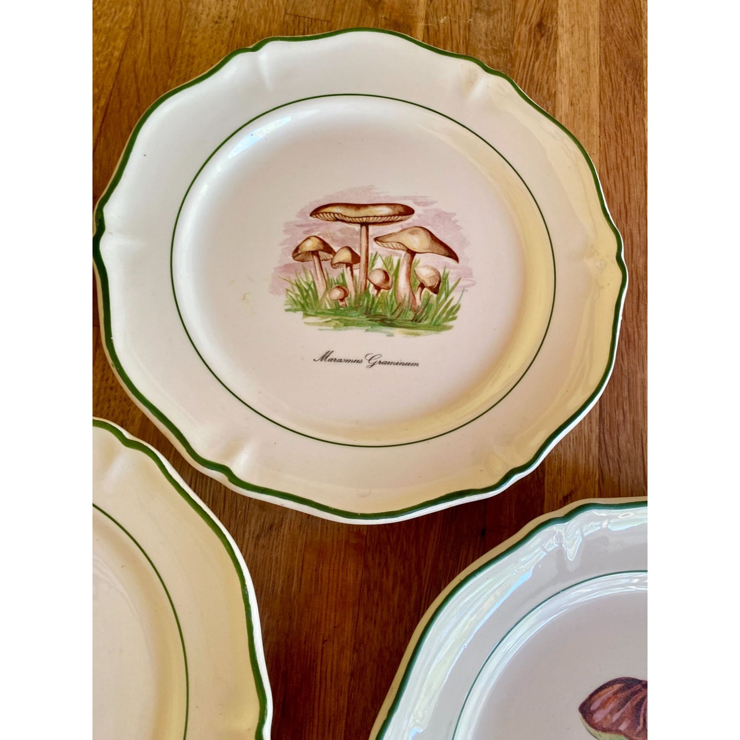 Mushroom-Themed Ceramic Plates With Scalloped Edges & Green Trim Faiencerie de Saint Amand France Set of 5