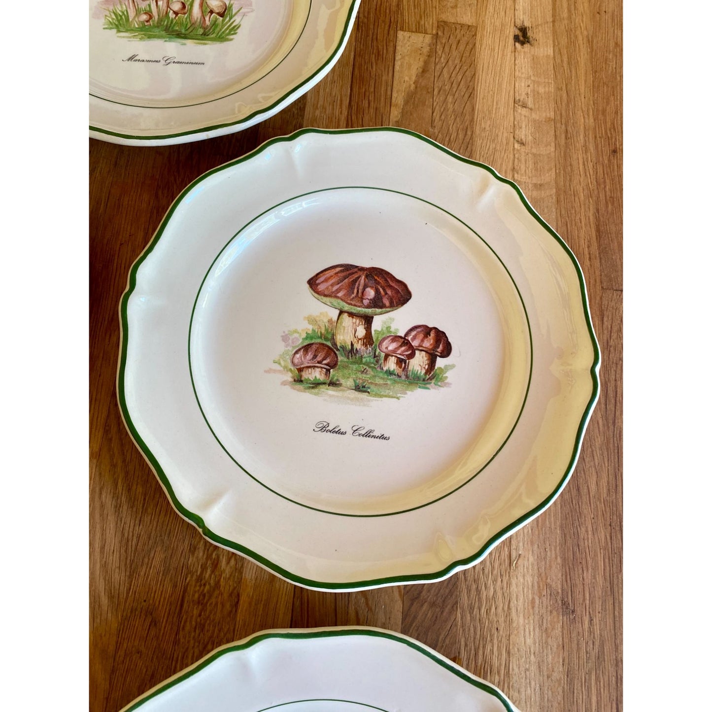 Mushroom-Themed Ceramic Plates With Scalloped Edges & Green Trim Faiencerie de Saint Amand France Set of 5