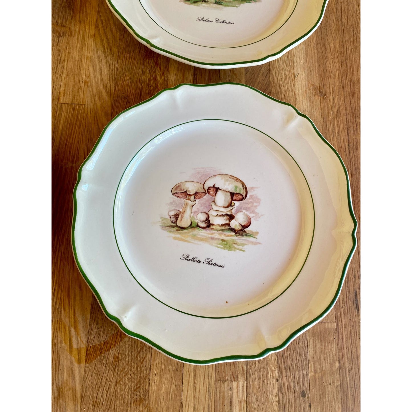 Mushroom-Themed Ceramic Plates With Scalloped Edges & Green Trim Faiencerie de Saint Amand France Set of 5