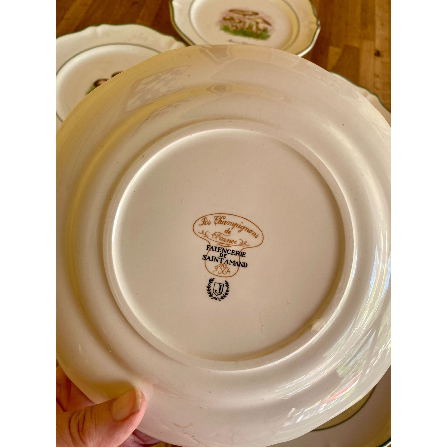 Mushroom-Themed Ceramic Plates With Scalloped Edges & Green Trim Faiencerie de Saint Amand France Set of 5