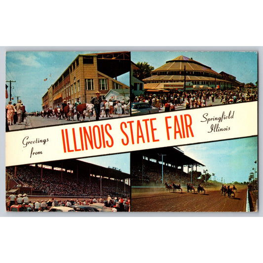 Springfield IL Illinois State Fair Greetings Horse Racing 1950s Chrome Postcard