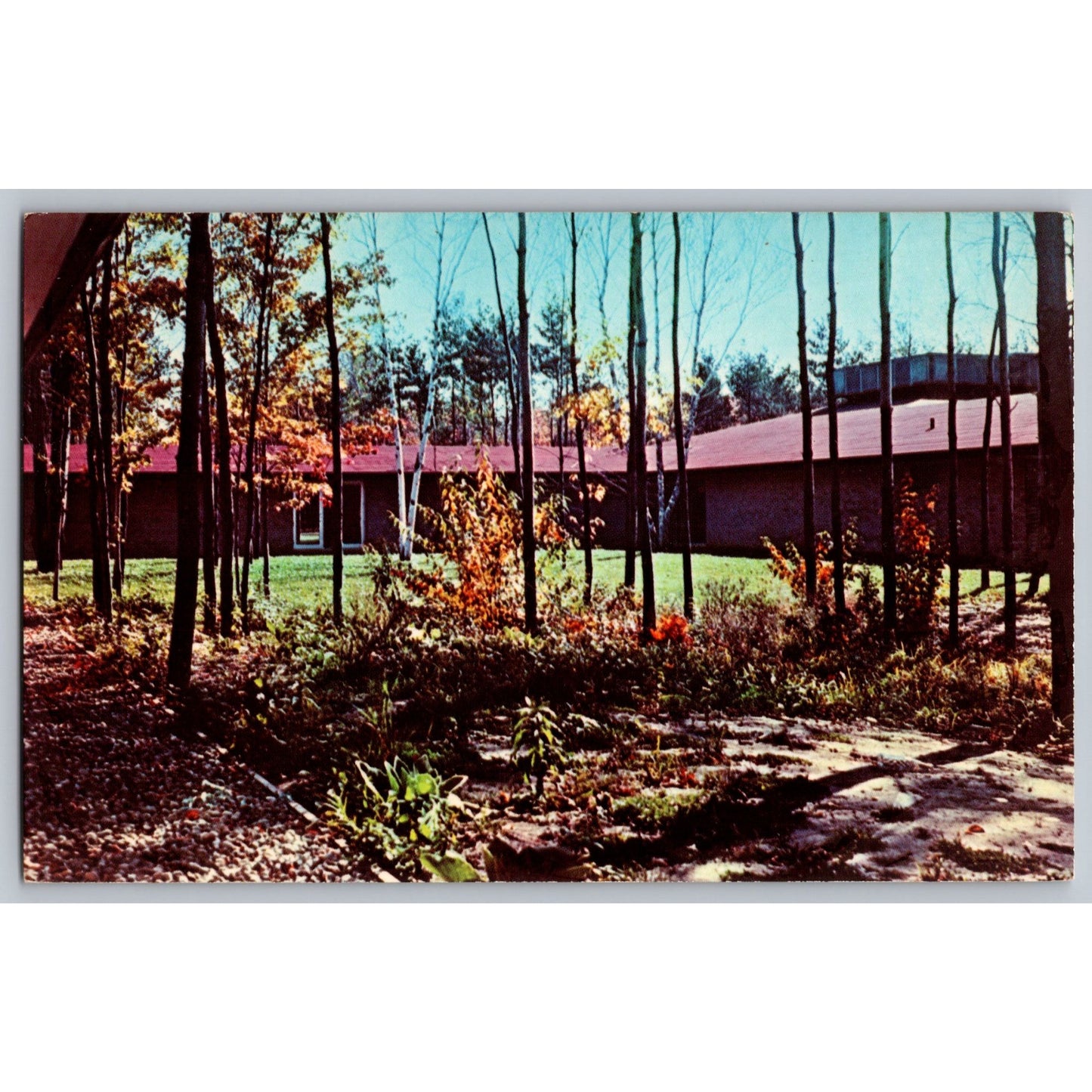 Midland MI Michigan Northwood Institute Dow Commons Postcard Unused Dexter Press