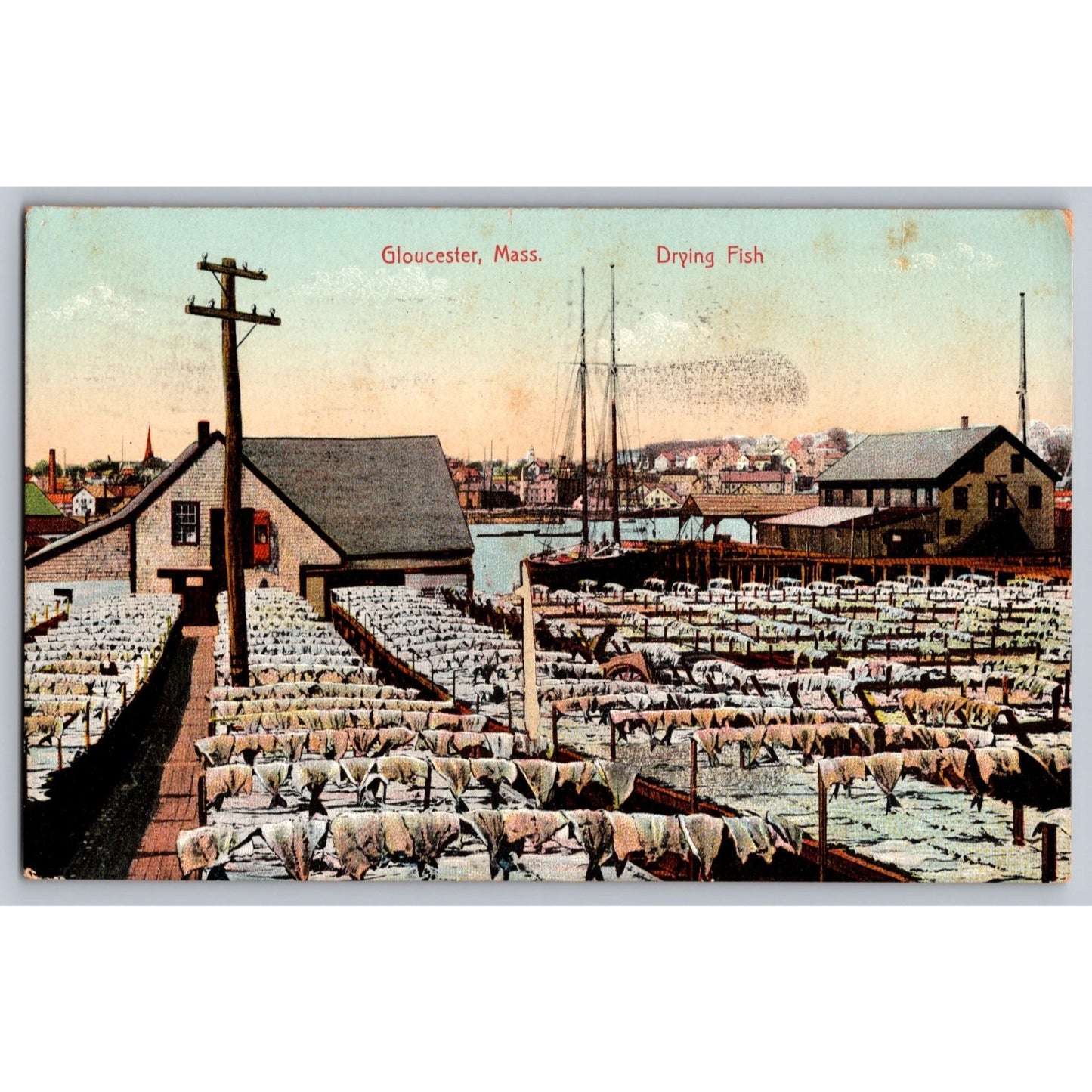 Gloucester MA Massachusetts Drying Fish 1909 Divided Back Postcard Used