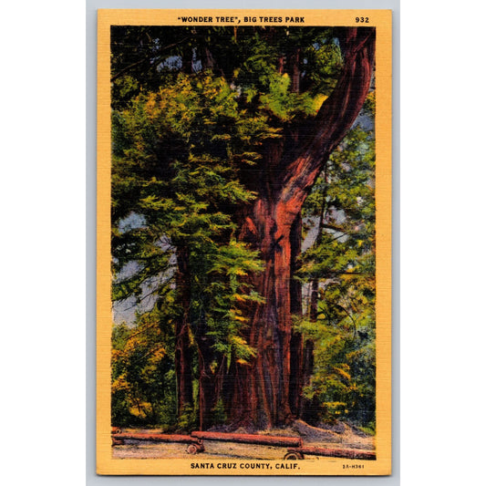 Santa Cruz County CA California Big Trees Park Wonder Tree Linen Postcard Unused