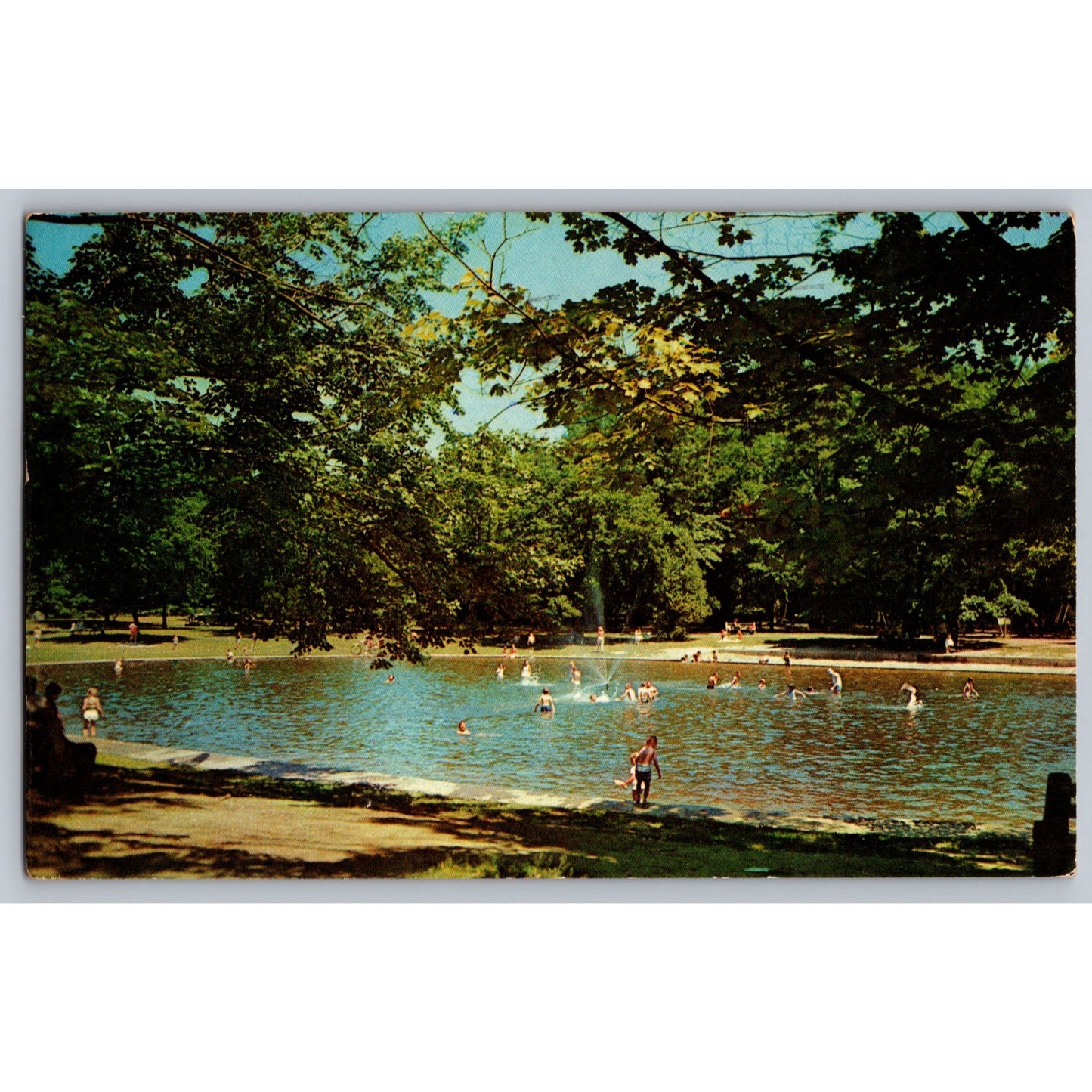 North Hampton MA Massachusetts Children Swimming Look Park 1965 Chrome Postcard