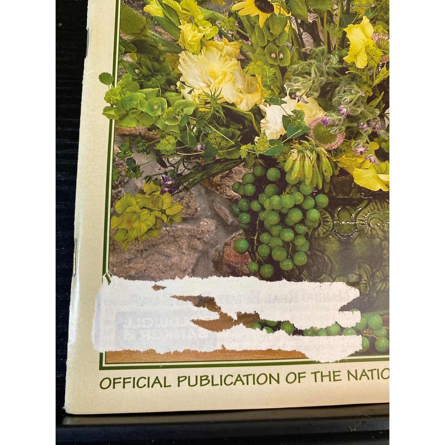 Gardening How-To Magazine March/April 1999 Bouquets For The Season