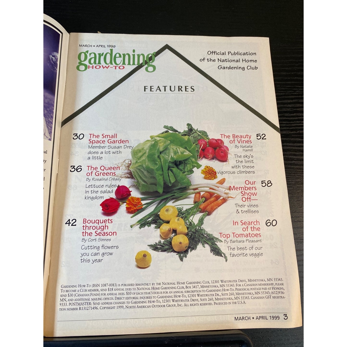 Gardening How-To Magazine March/April 1999 Bouquets For The Season