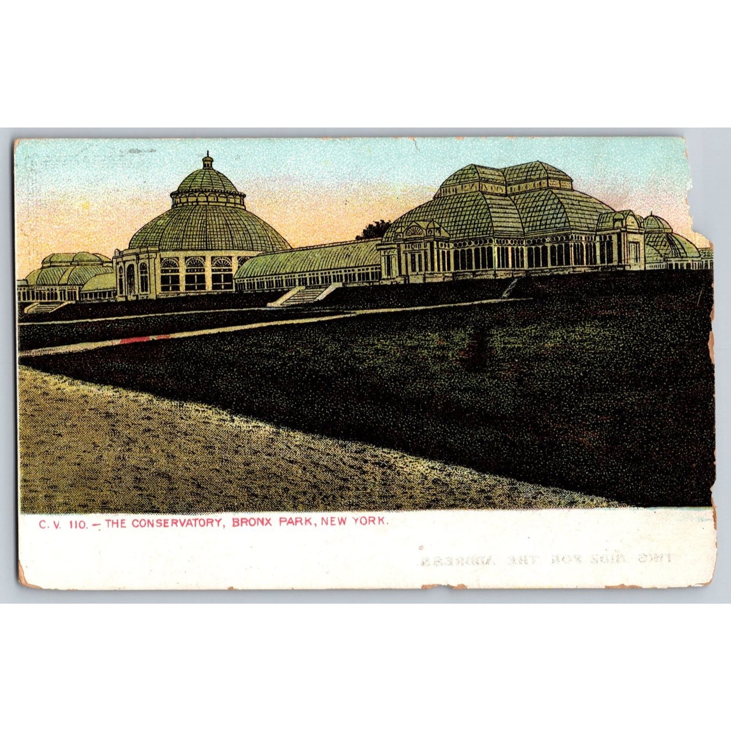 Bronx NY New York Conservatory Bronx Park Undivided Back Postcard Unused