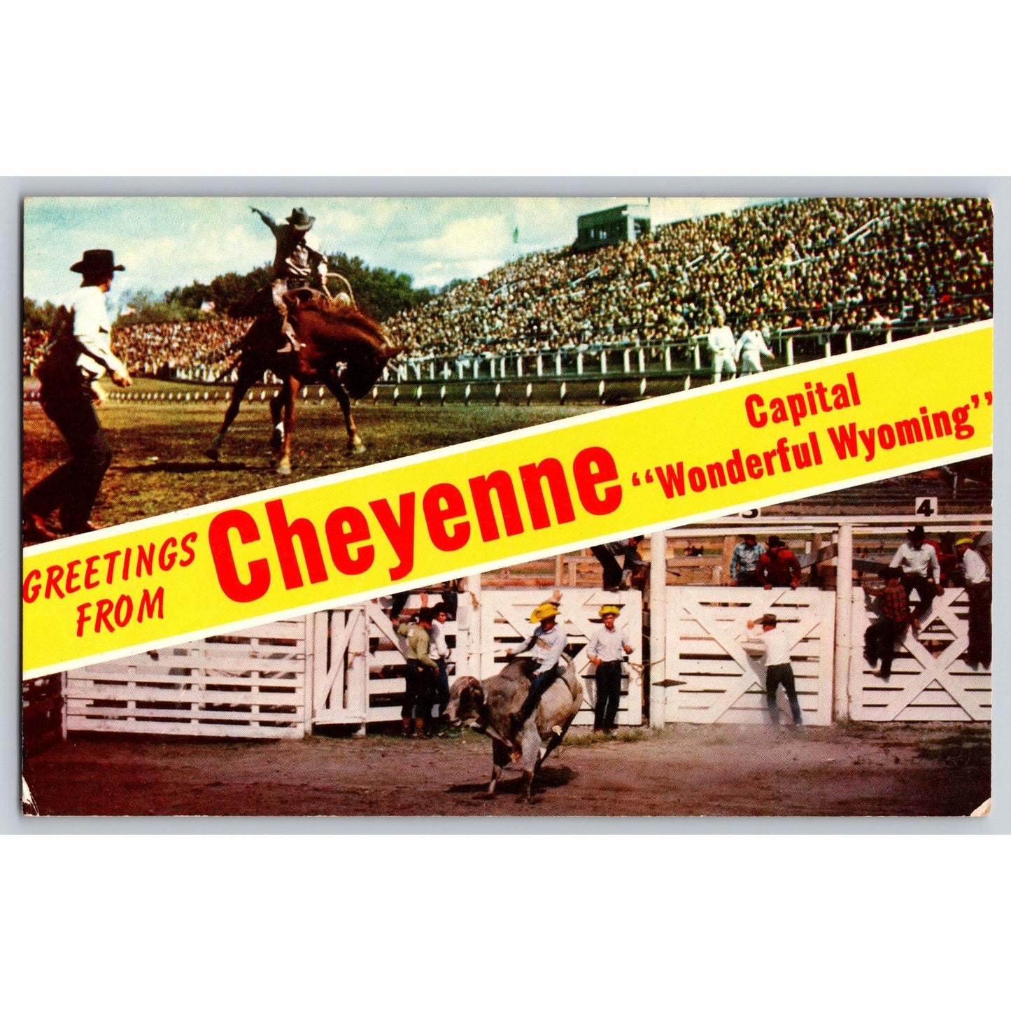 Cheyenne WY Wyoming Greetings from Rodeo Chrome Postcard Unused