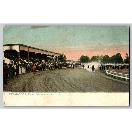 Chattanooga TN Tennessee Olympia Park Horse Racing 1909 Undivided Postcard Used