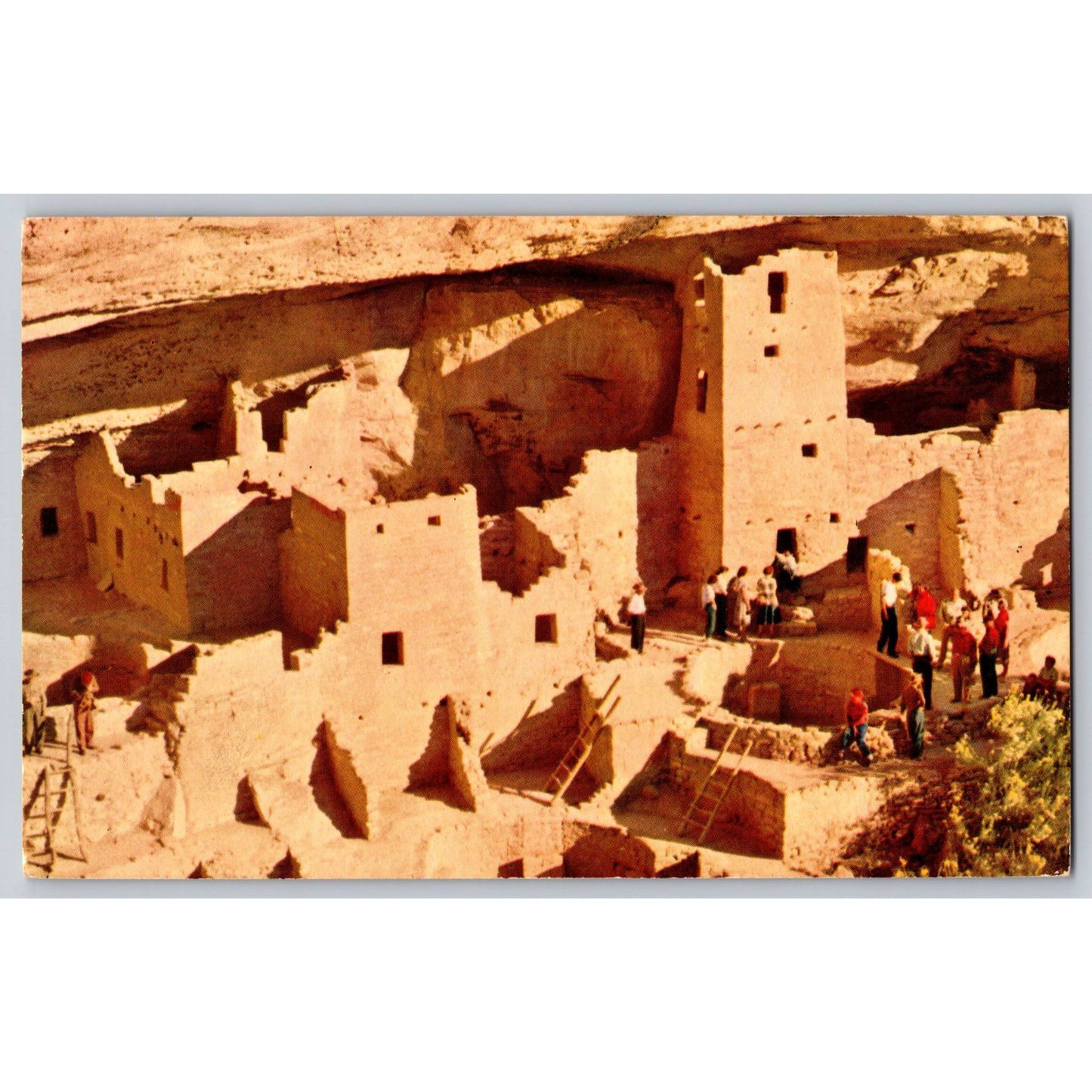 Colorado CO Mesa Verde National Park Cliff Palace Ruin Chrome Postcard Used