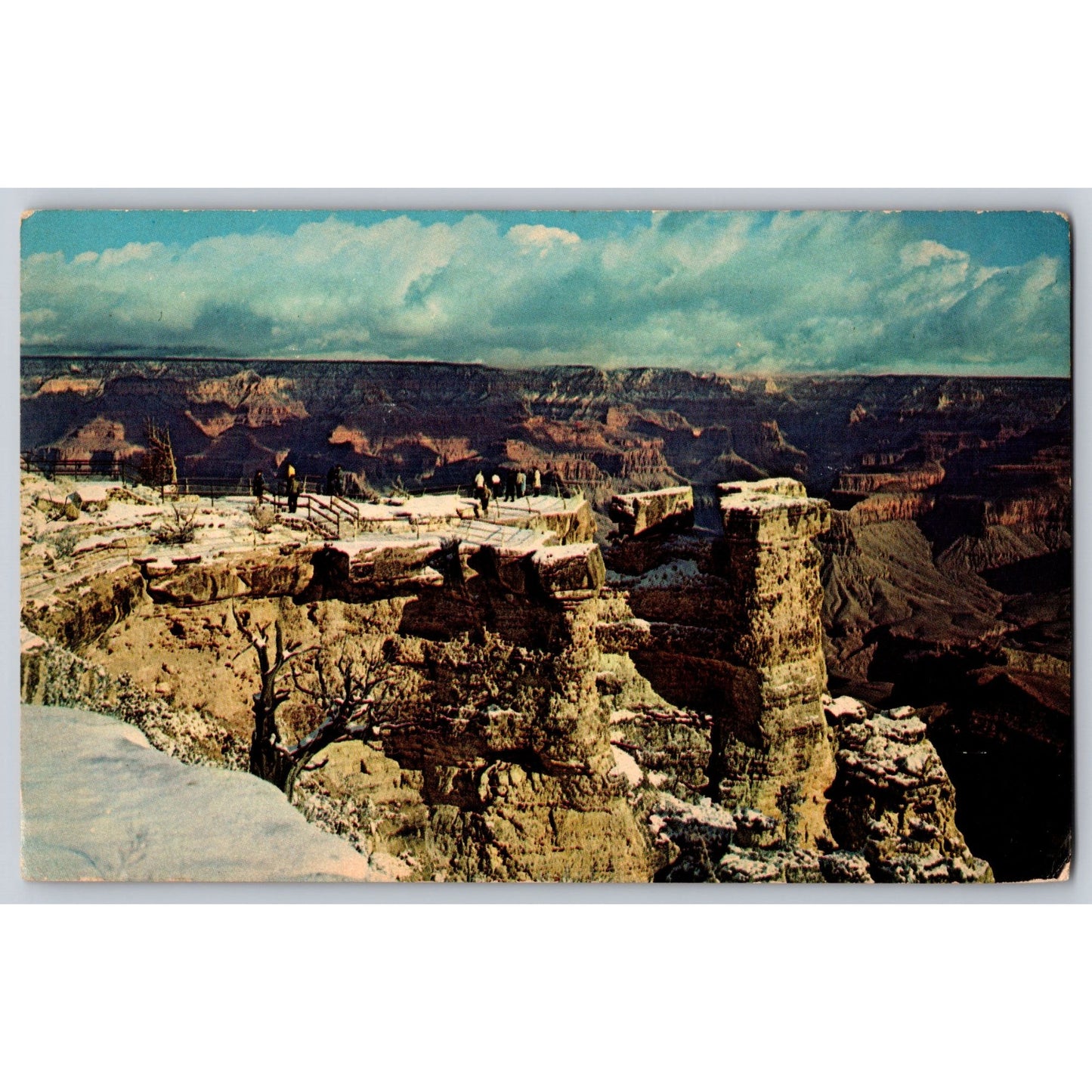 Grand Canyon AZ Arizona Winter Grand Canyon National Park Postcard Petley Studio