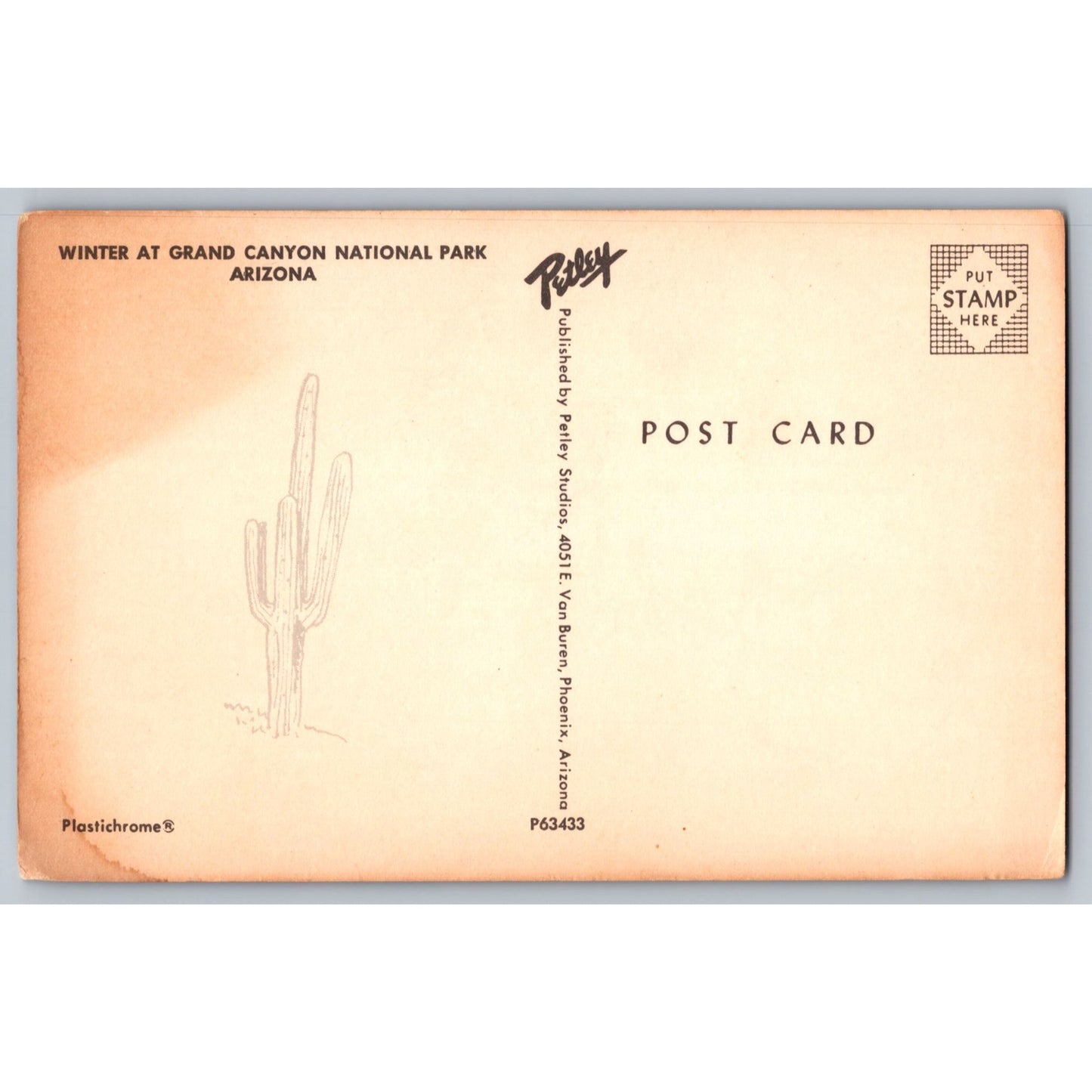 Grand Canyon AZ Arizona Winter Grand Canyon National Park Postcard Petley Studio