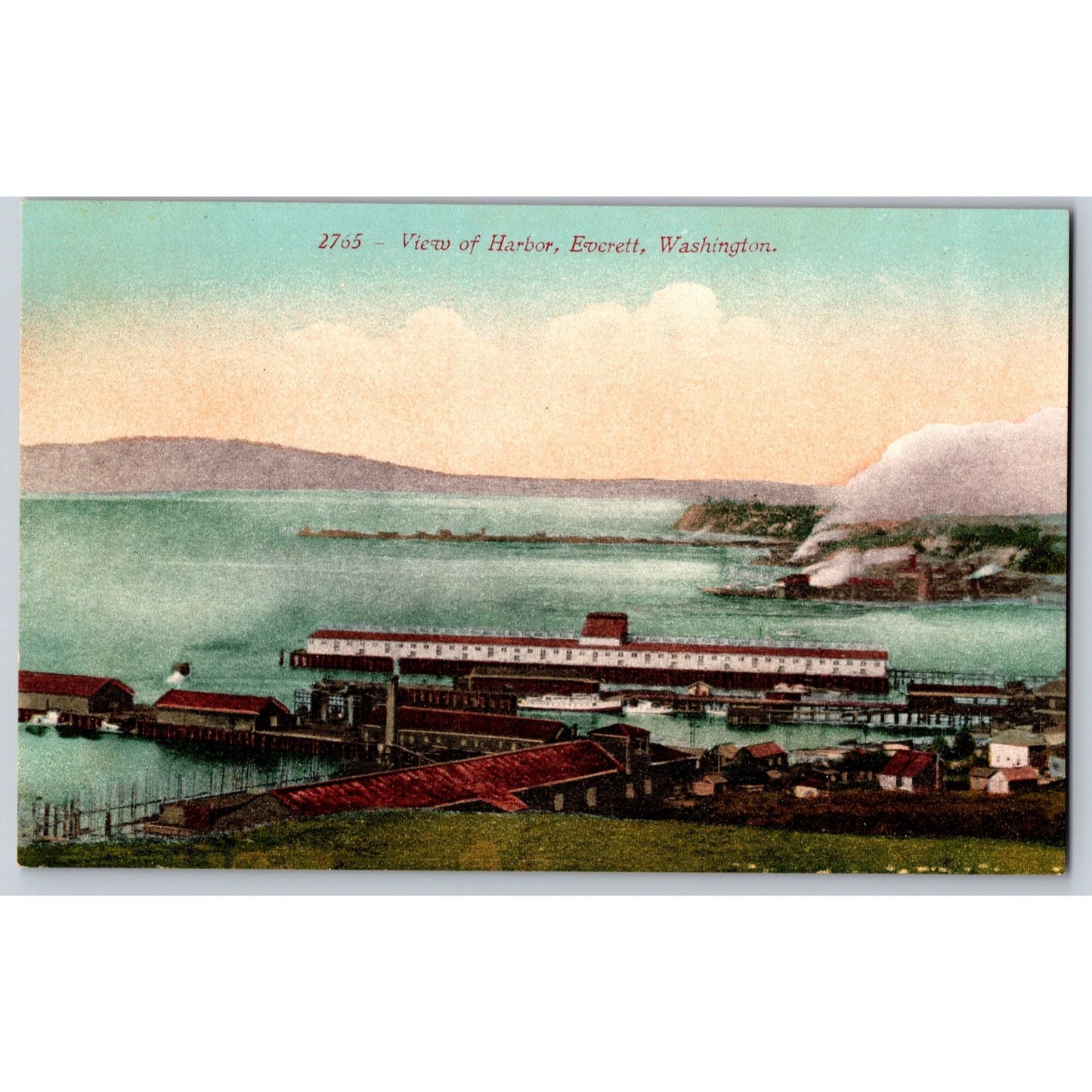Everett WA Washington Harbor View Divided Back Postcard Unused Edward H Mitchell