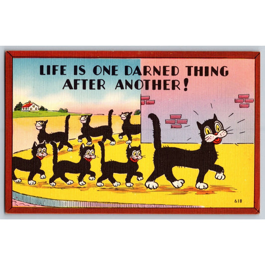 Comic Postcard Black Cat Life is One Darned Thing After Another Linen Unused