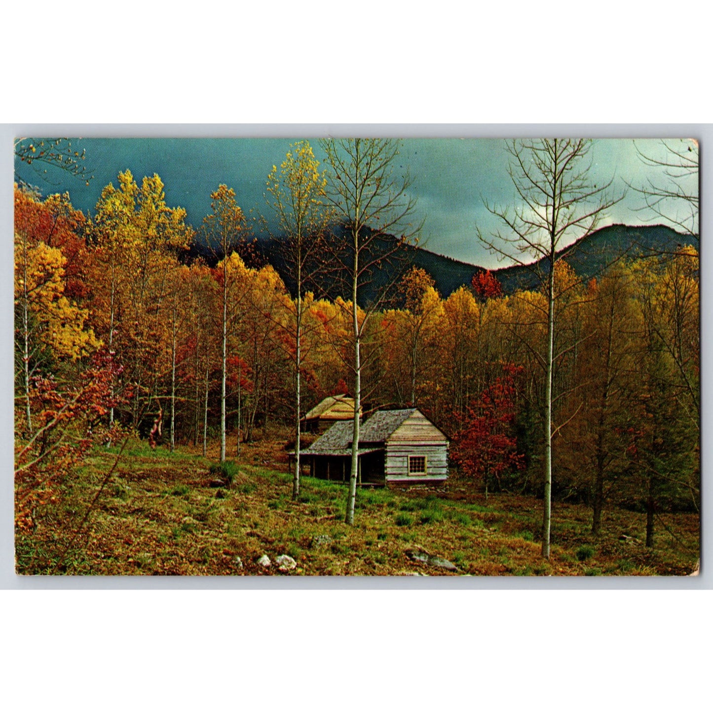 Great Smokey Mountains TN Tennessee National Park Junglebrook Homestead Postcard